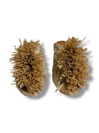 Clergerie Raffia Mules - Size 37.5 - Never Worn